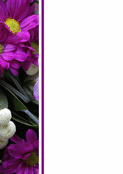 Fleurs violettes pour un tendre hommage